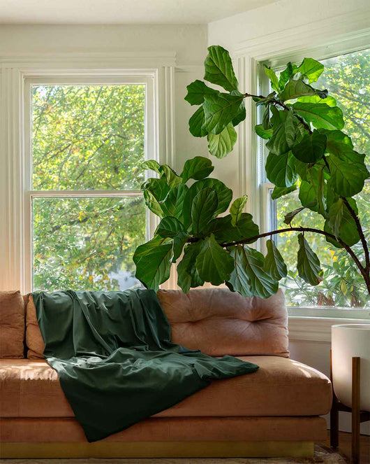 Cotton Duvet Cover - Throw - Spruce - 
